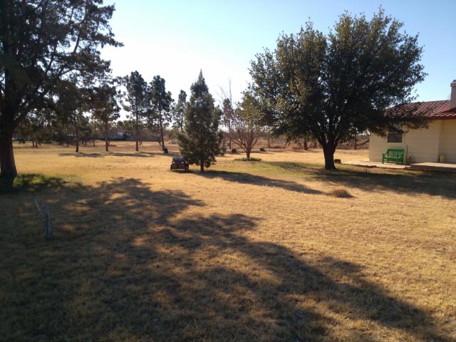 View of the front yard